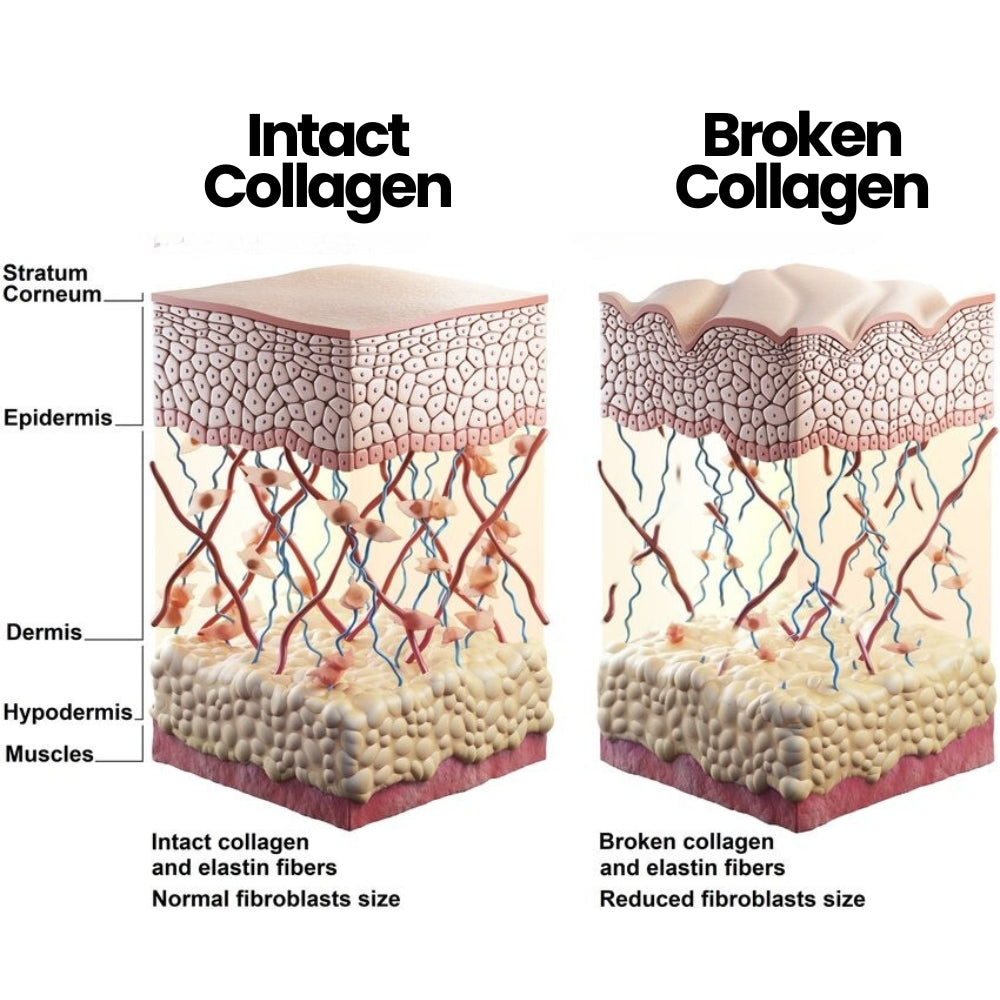 Advanced Peptide Eye Serum