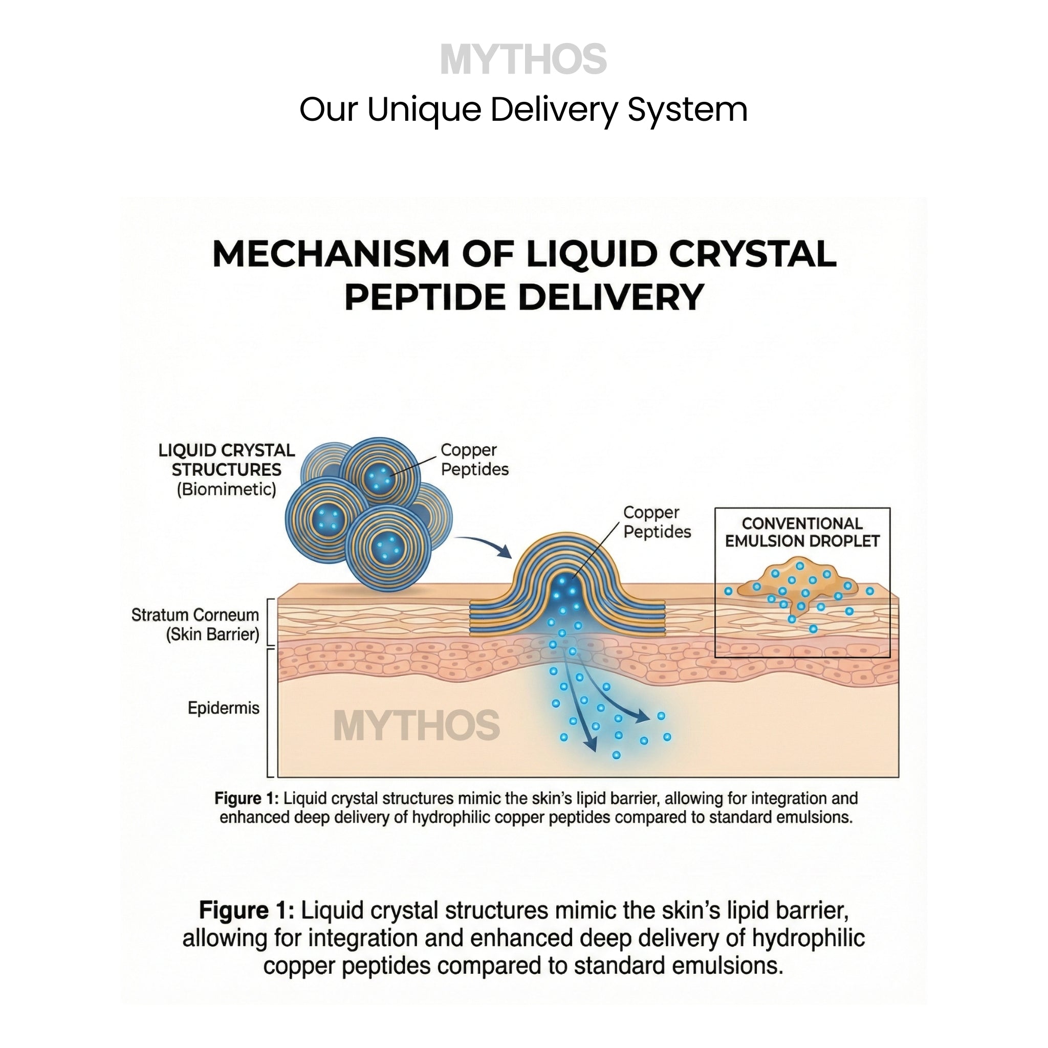 Mythos unique skin delivery system — deep penetration technology for maximum ingredient absorption
