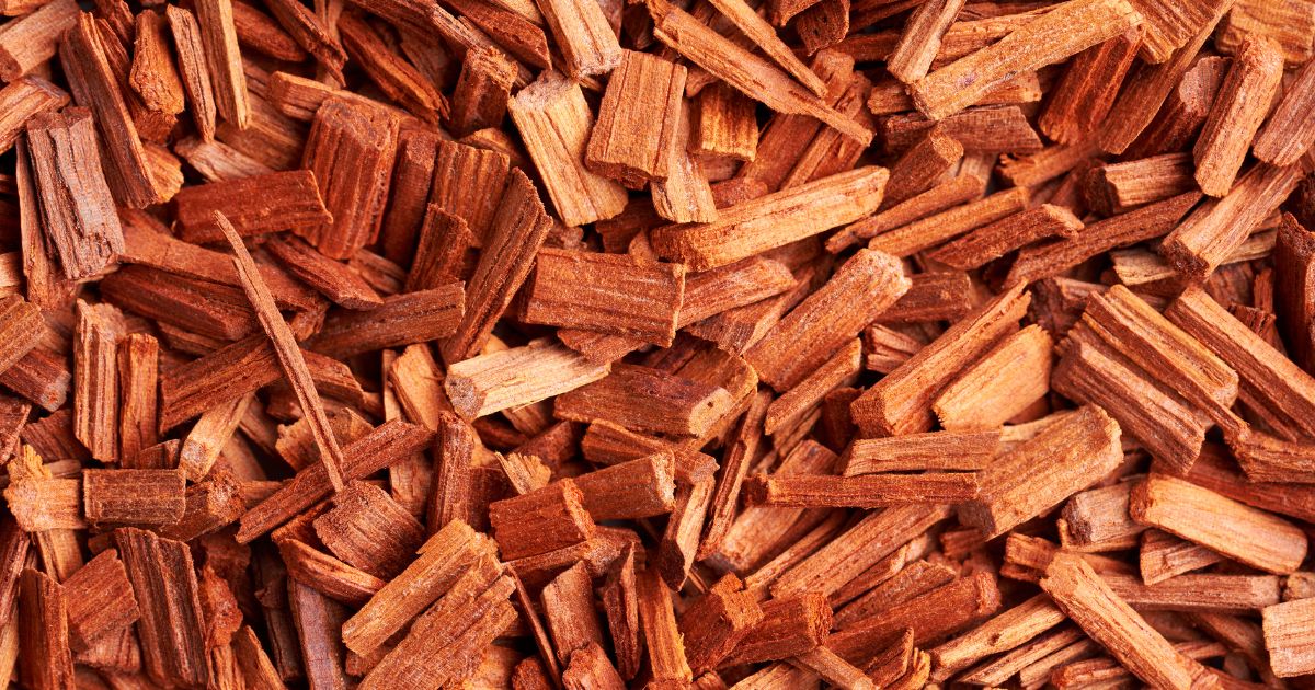 Sandalwood oil skincare benefits — natural anti-inflammatory and antimicrobial ingredient for healthy skin